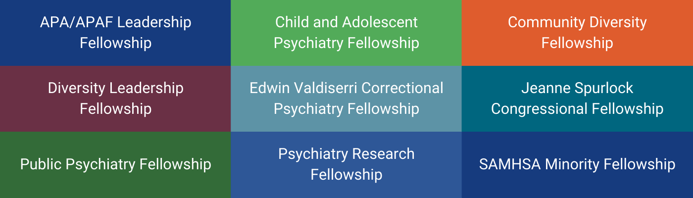 APA/APAF Fellowship